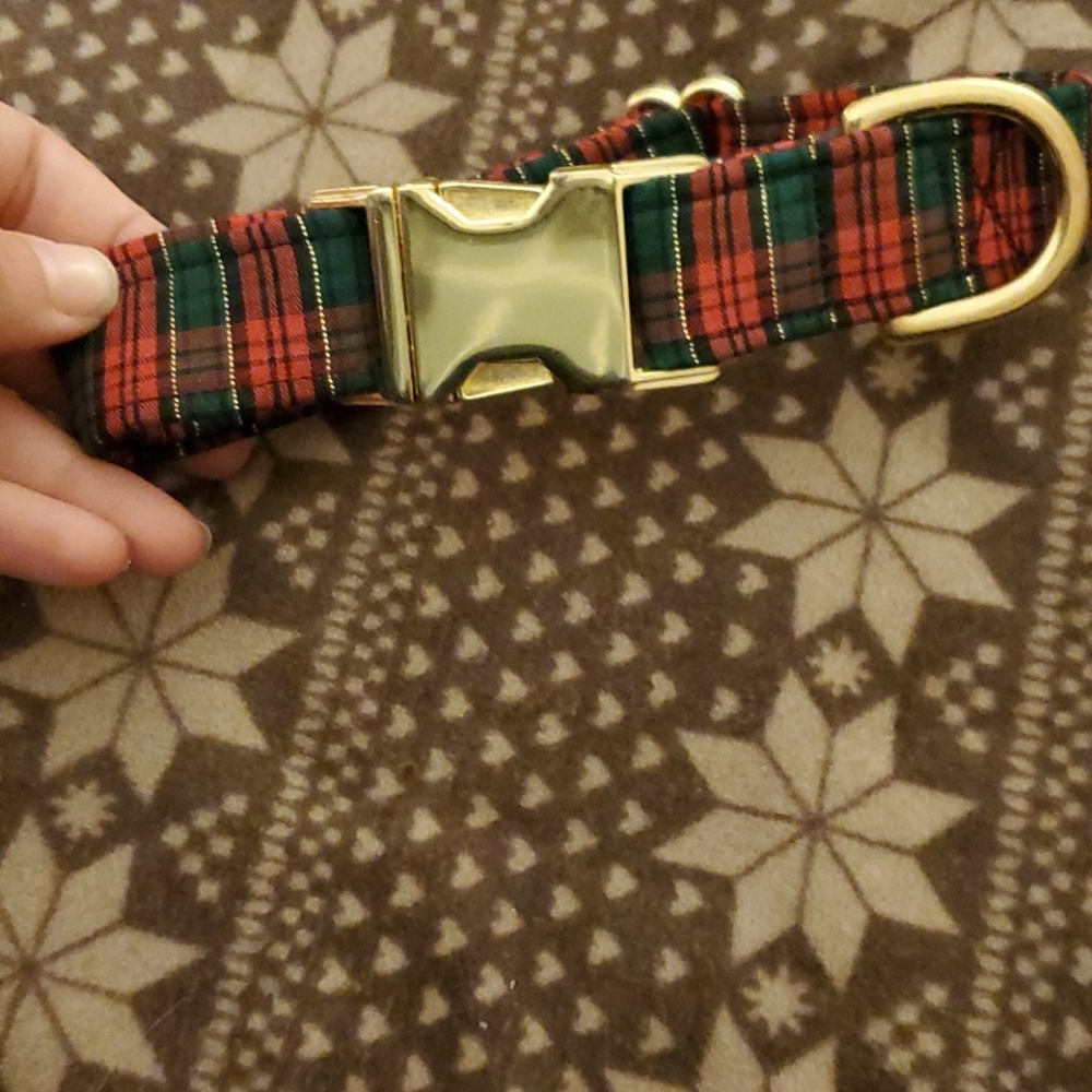 Dog collar